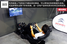 领略WTCC王者风采