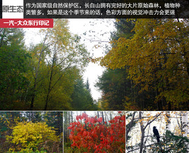 攀长白山/访边陲镇