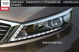 夹缝中的生存之道