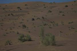 2014款奇骏沙漠无人区试驾