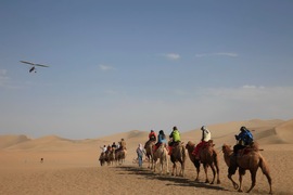 2014款奇骏沙漠无人区试驾