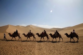 2014款奇骏沙漠无人区试驾