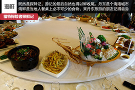 七座全能远行专家