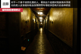 七座全能远行专家