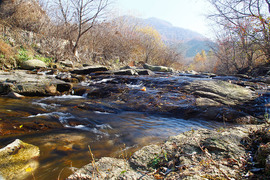 七座全能远行专家