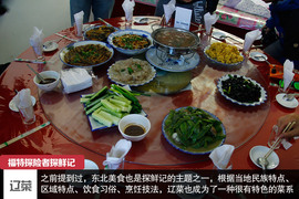 七座全能远行专家