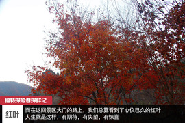 七座全能远行专家