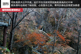 七座全能远行专家