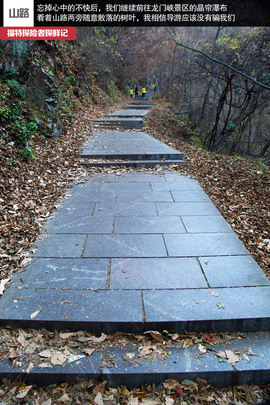 七座全能远行专家