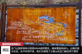 七座全能远行专家