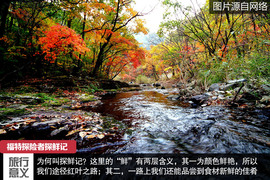 七座全能远行专家