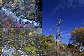 JEEP稻城亚丁挑战赛文章配图