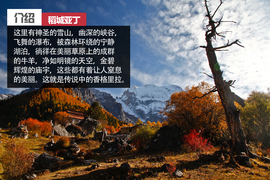 JEEP稻城亚丁挑战赛文章配图