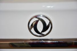 2014款东风风神S30