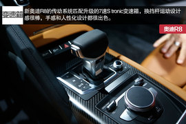 家族最凶前脸加身