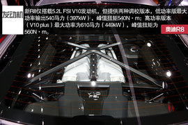 家族最凶前脸加身