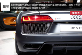 家族最凶前脸加身