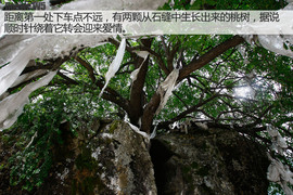 荣威W5征川藏之旅