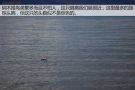 荣威W5征川藏之旅