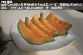 福特翼虎穿越罗布泊