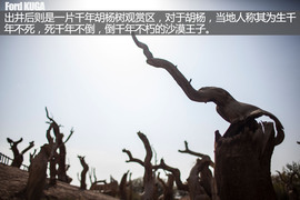 福特翼虎穿越罗布泊