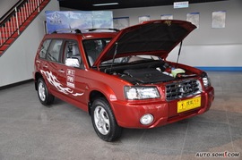  2010款野马汽车F99