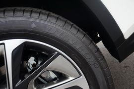 2016款雷克萨斯RX200t四驱典雅版