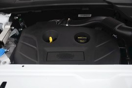 2016款奇瑞路虎发现神行2.0T