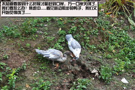 丈量1箱油的距离