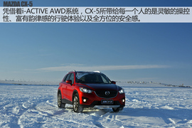 舞动冰上华尔兹