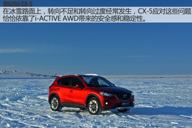 舞动冰上华尔兹