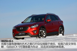 舞动冰上华尔兹