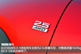 舞动冰上华尔兹