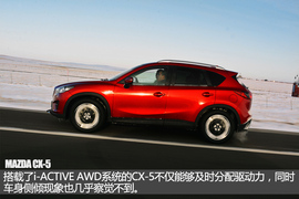 舞动冰上华尔兹