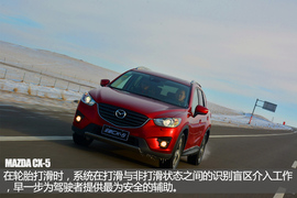 舞动冰上华尔兹