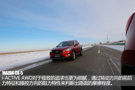 舞动冰上华尔兹