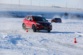 舞动冰上华尔兹