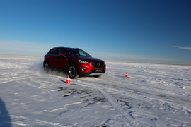 舞动冰上华尔兹