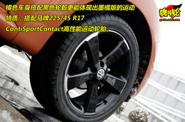 2010款大众甲壳虫1.8T墨橘版