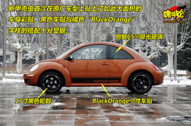 2010款大众甲壳虫1.8T墨橘版
