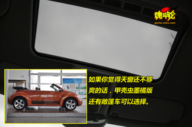 2010款大众甲壳虫1.8T墨橘版