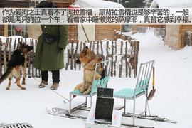 可以信赖的伙伴