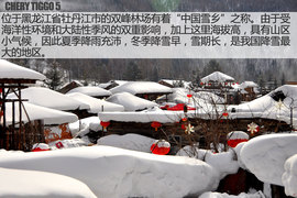 可以信赖的伙伴