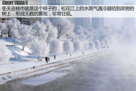 可以信赖的伙伴