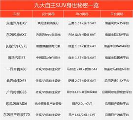 九大自主SUV身世揭秘