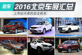 上市必大卖自主新车盘点