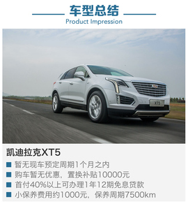 近期上市热门SUV到店调查