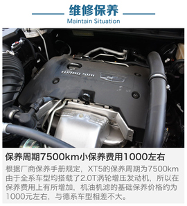 近期上市热门SUV到店调查