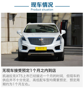 近期上市热门SUV到店调查