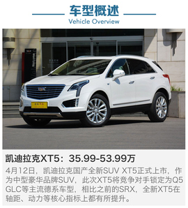 近期上市热门SUV到店调查